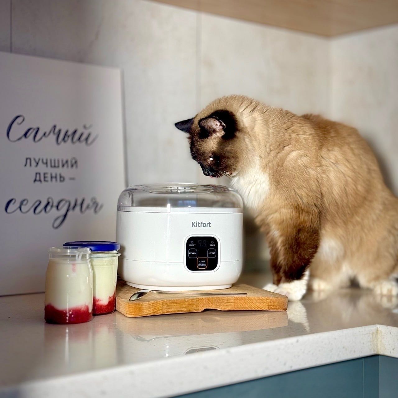 Приз: Блендер «3 в 1» Kitfort КТ-3019 - победитель конкурса Kitfort 2026 год