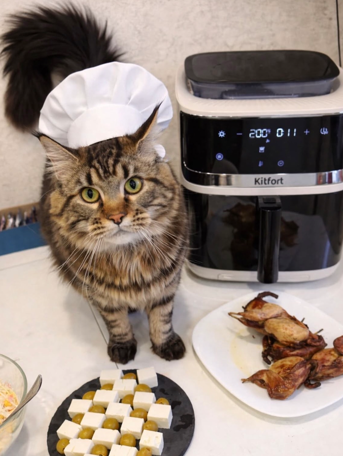 Приз: Напольные весы Kitfort КТ-804-3, бежевые - победитель конкурса Kitfort 2026 год