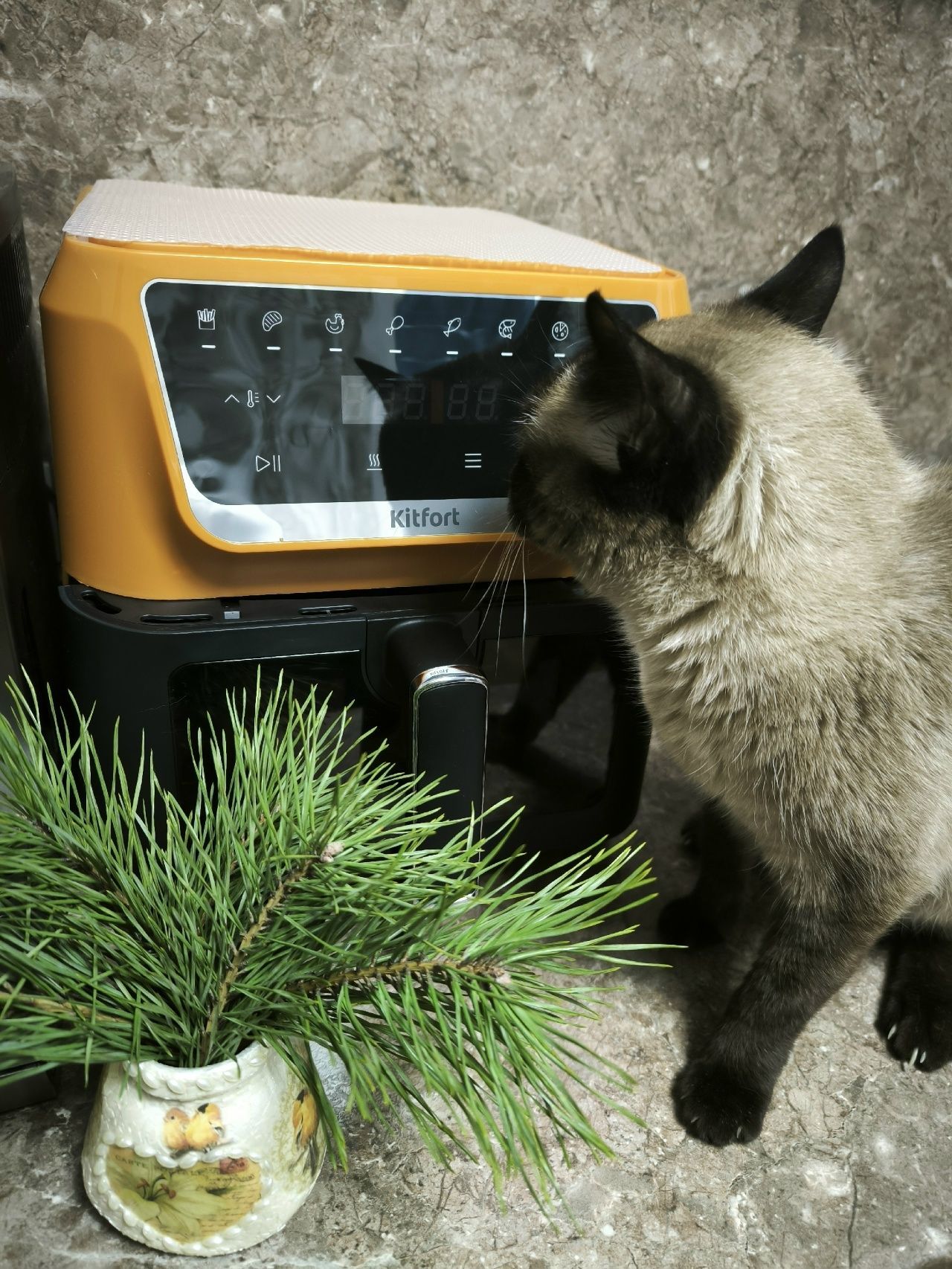 Приз: Весы Kitfort КТ-805 - победитель конкурса Kitfort 2026 год