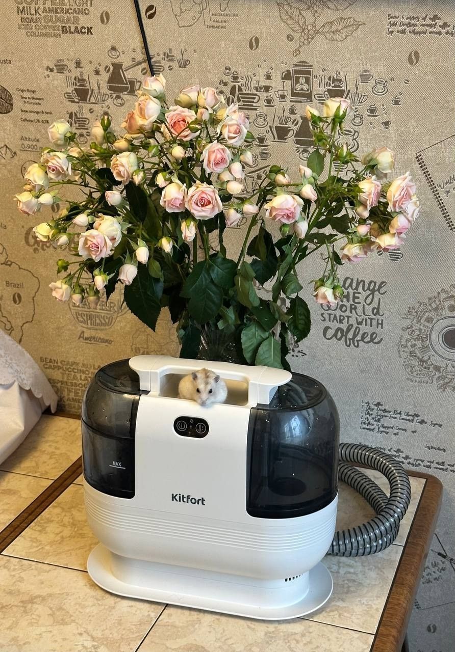 Приз: Блендер «3 в 1» Kitfort КТ-3019 - победитель конкурса Kitfort 2026 год