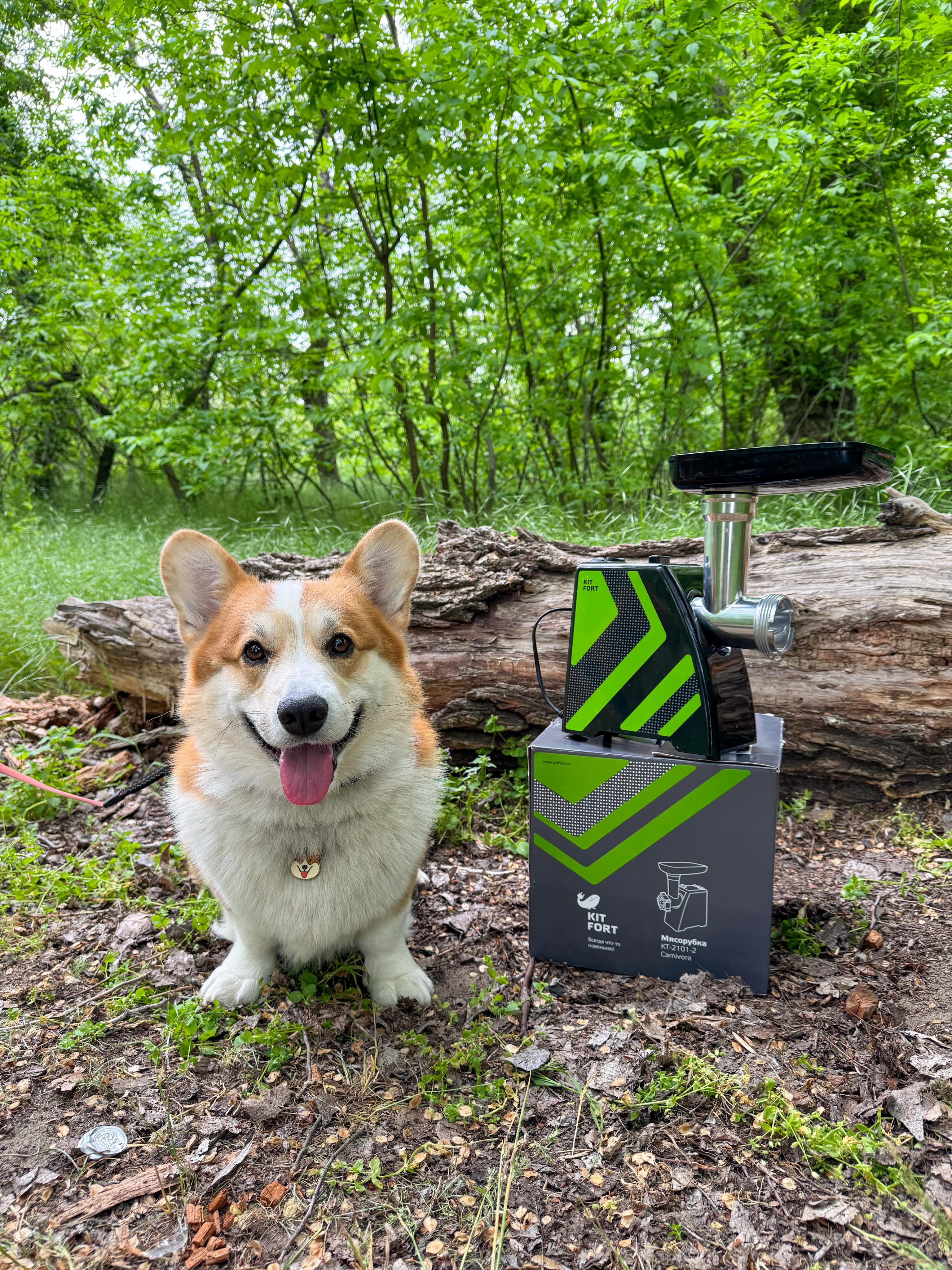 Приз: Центробежная соковыжималка Kitfort КТ-1166 - победитель конкурса Kitfort 2026 год
