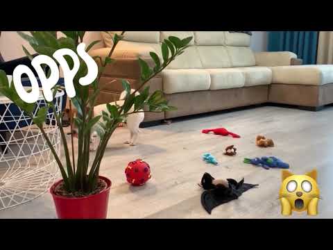 Приз: Планетарный миксер Kitfort КТ-1308-1, красный - победитель розыгрыша видеообзоров Kitfort 2020