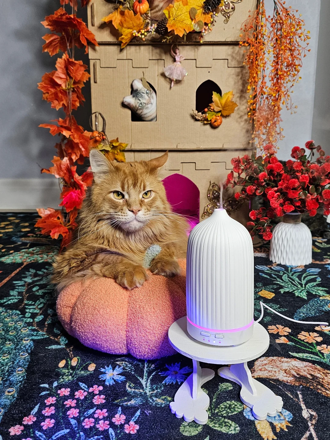 Приз: Соковыжималка для цитрусовых Kitfort КТ-1168 - победитель конкурса Kitfort 2025 год