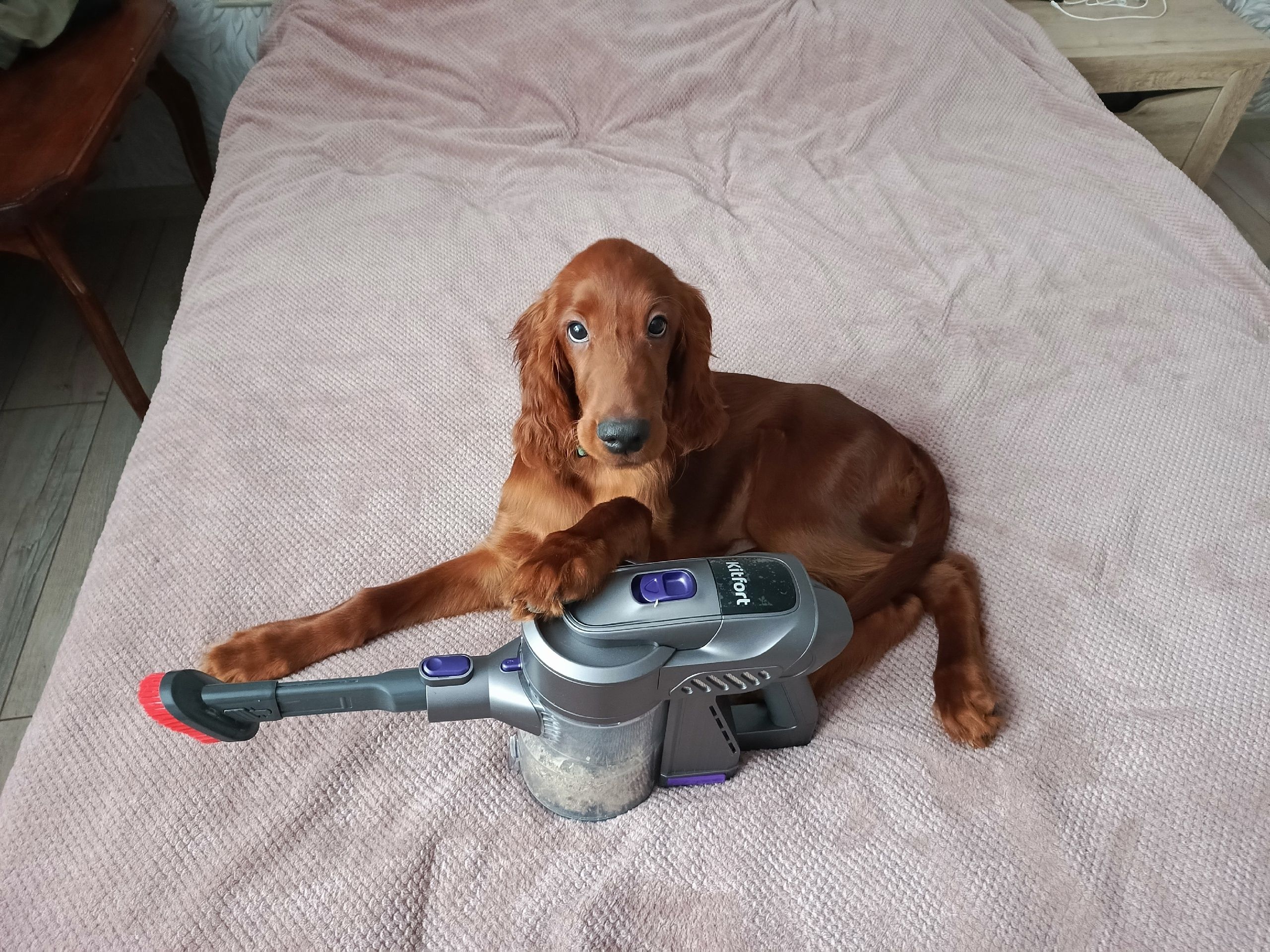 Приз: Весы Kitfort КТ-805 - победитель конкурса Kitfort 2026 год