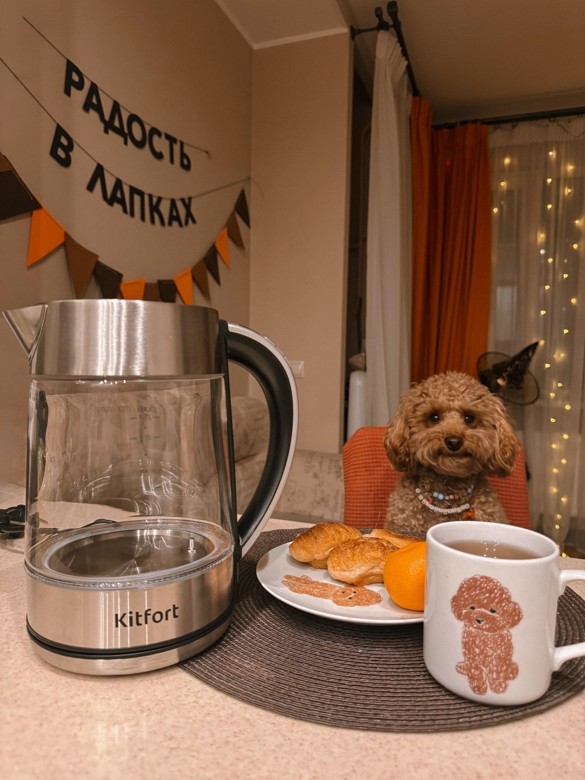 Приз: Соковыжималка для цитрусовых Kitfort КТ-1168 - победитель конкурса Kitfort 2025 год