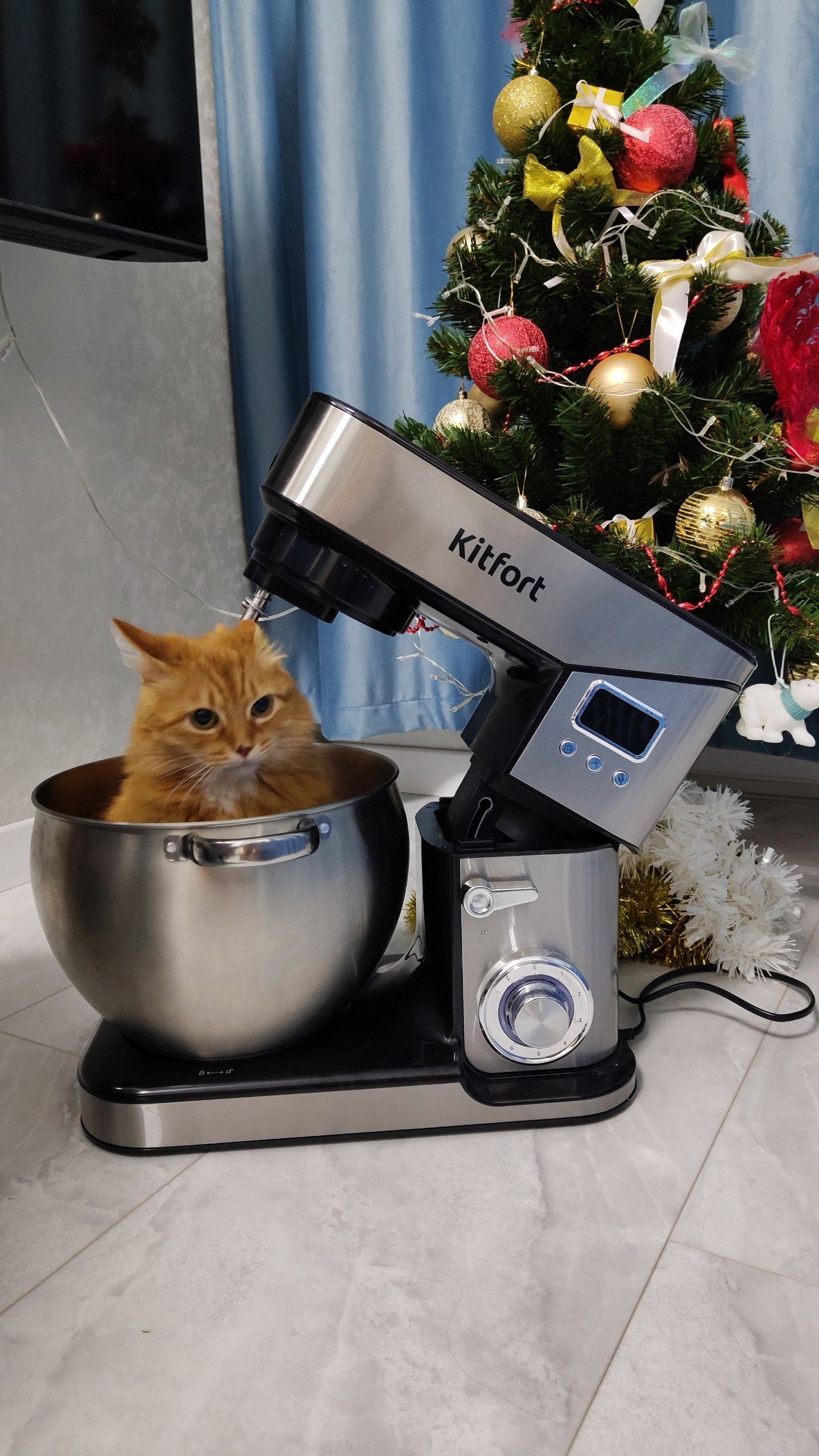 Приз: Весы Kitfort КТ-805 - победитель конкурса Kitfort 2026 год