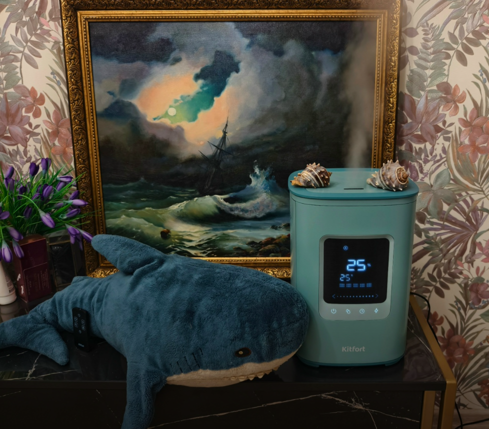 Приз: Весы Kitfort КТ-805 - победитель конкурса Kitfort 2026 год