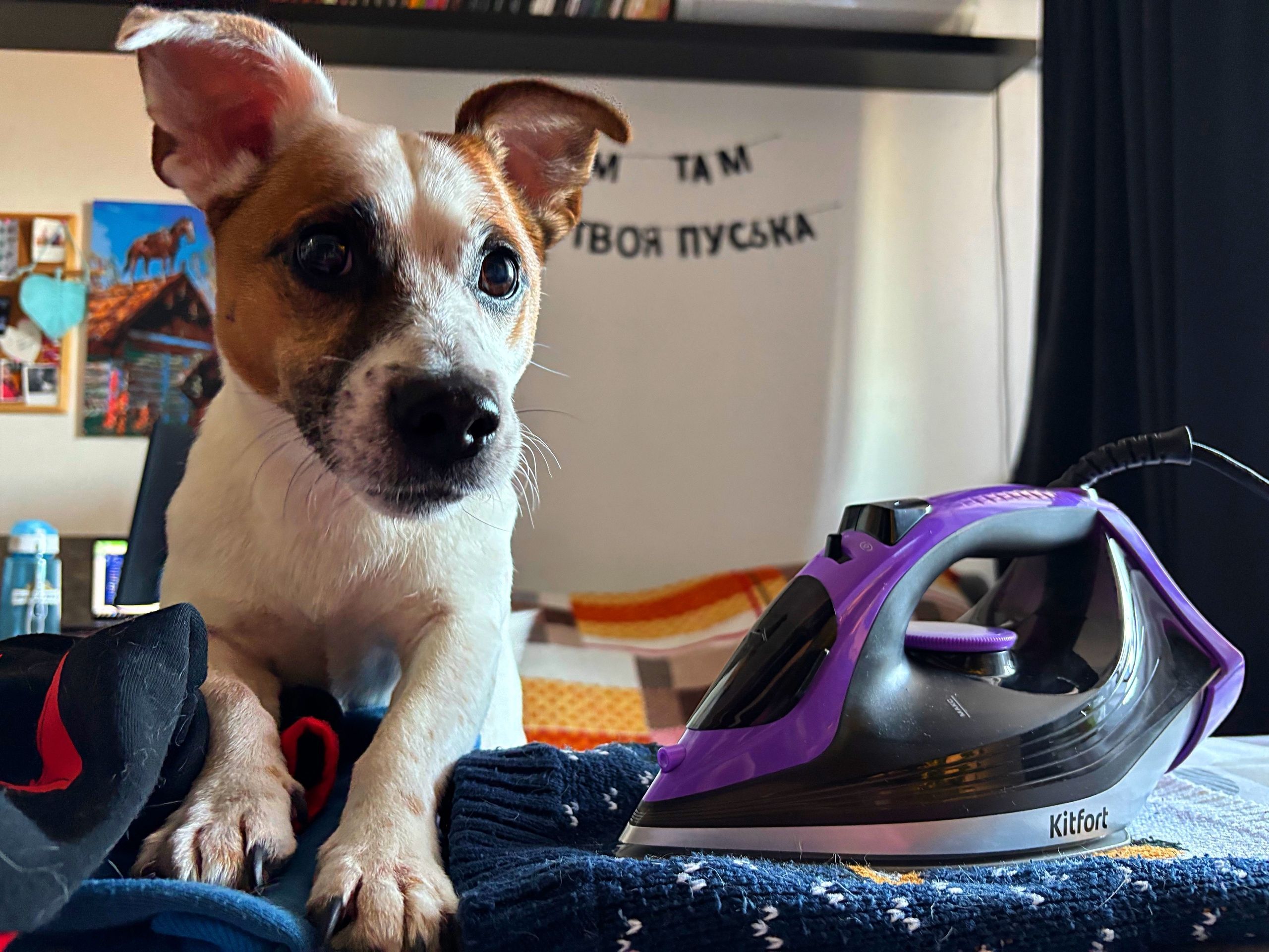 Приз: Напольные весы Kitfort КТ-804-3, бежевые - победитель конкурса Kitfort 2026 год