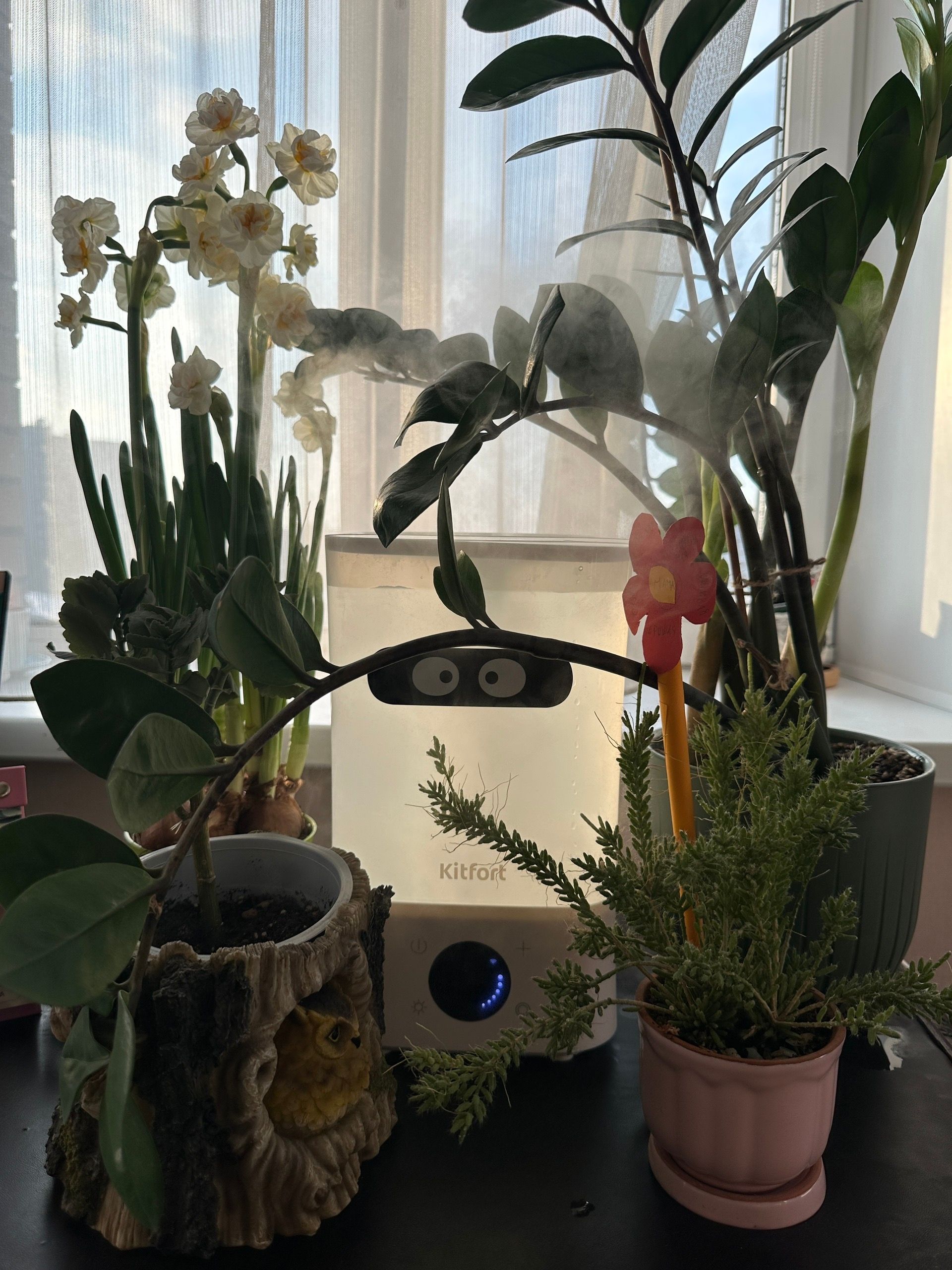 Приз: Напольные весы Kitfort КТ-804-3, бежевые - победитель конкурса Kitfort 2026 год