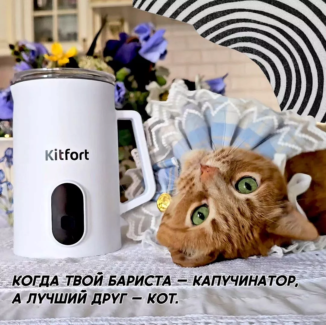 Приз: Напольные весы Kitfort КТ-822 - победитель конкурса Kitfort 2024 год
