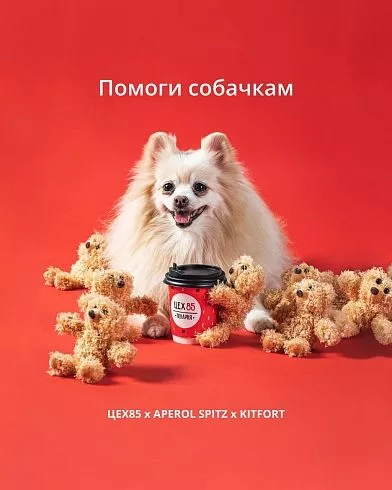 Официальный сайт «KITFORT» – интернет-магазин бытовой техники в России