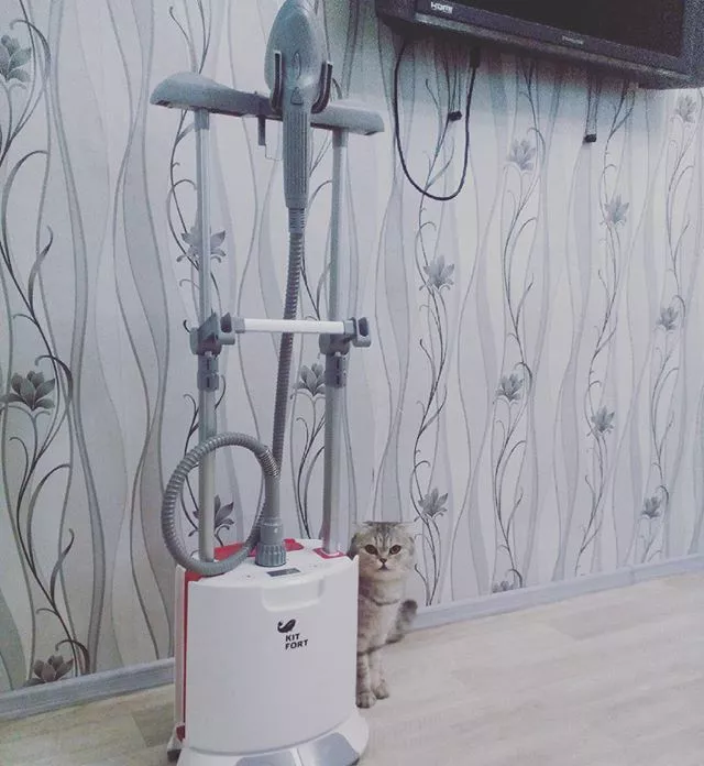 Отпариватель Kitfort KT-915 Professional Series - фото 2