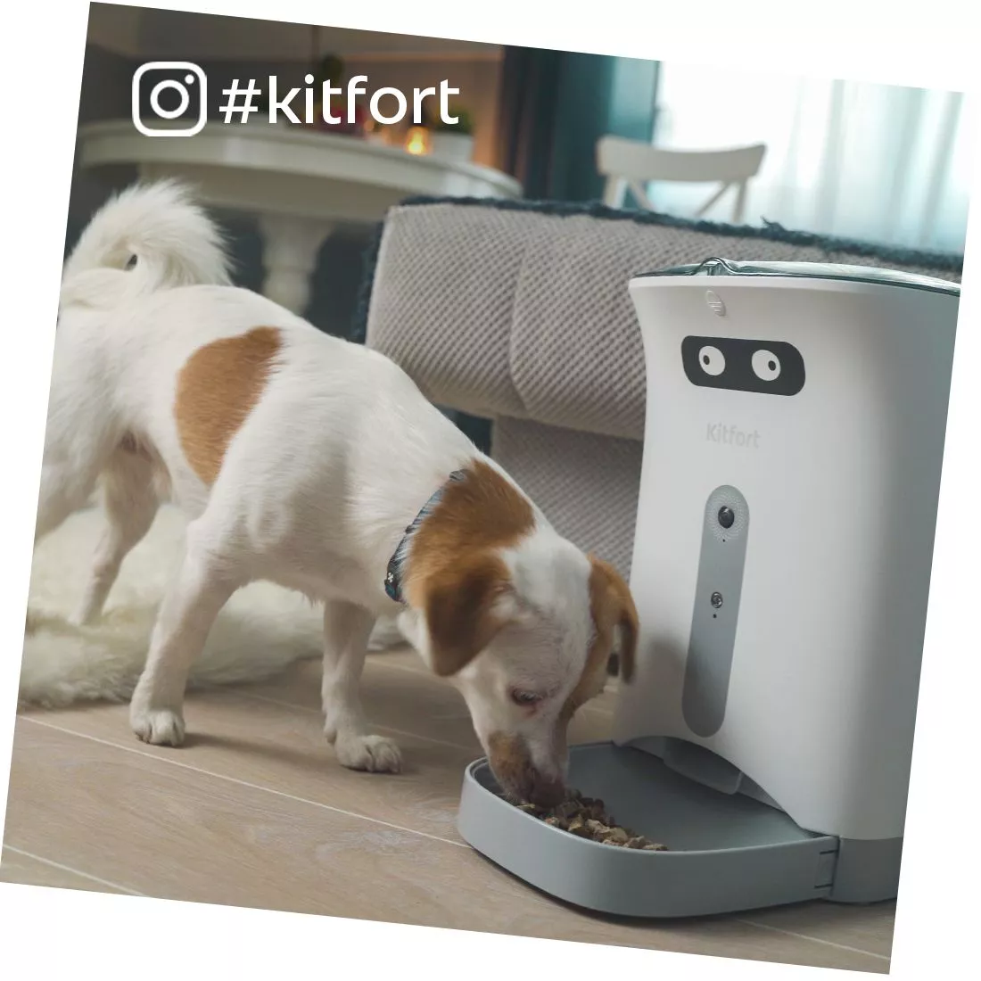 Умные кормушки для животных Kitfort - купить автоматические кормушки ...