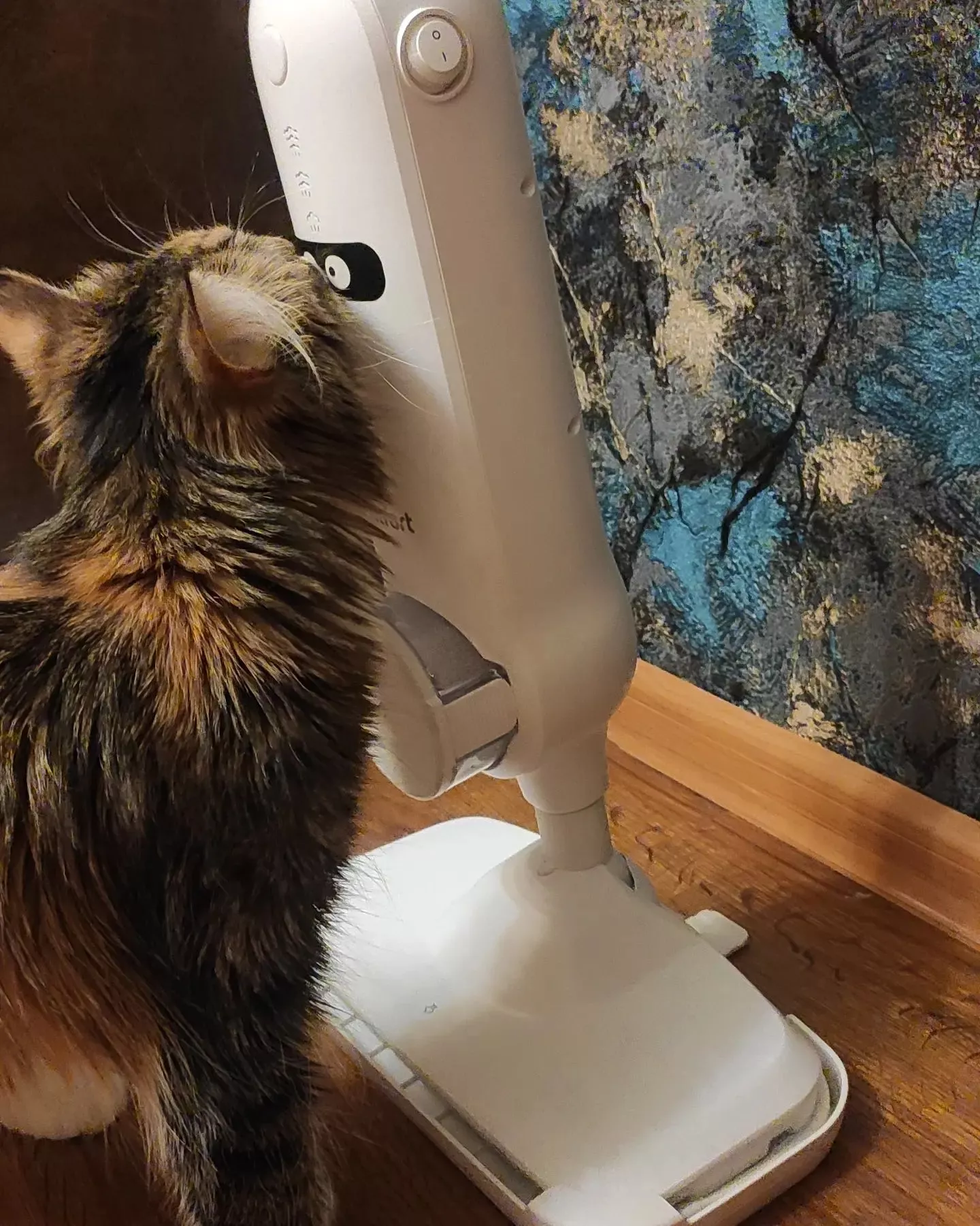 Паровая швабра Kitfort KT-1015 купить по цене 5 990 ₽: отзывы, фото ...