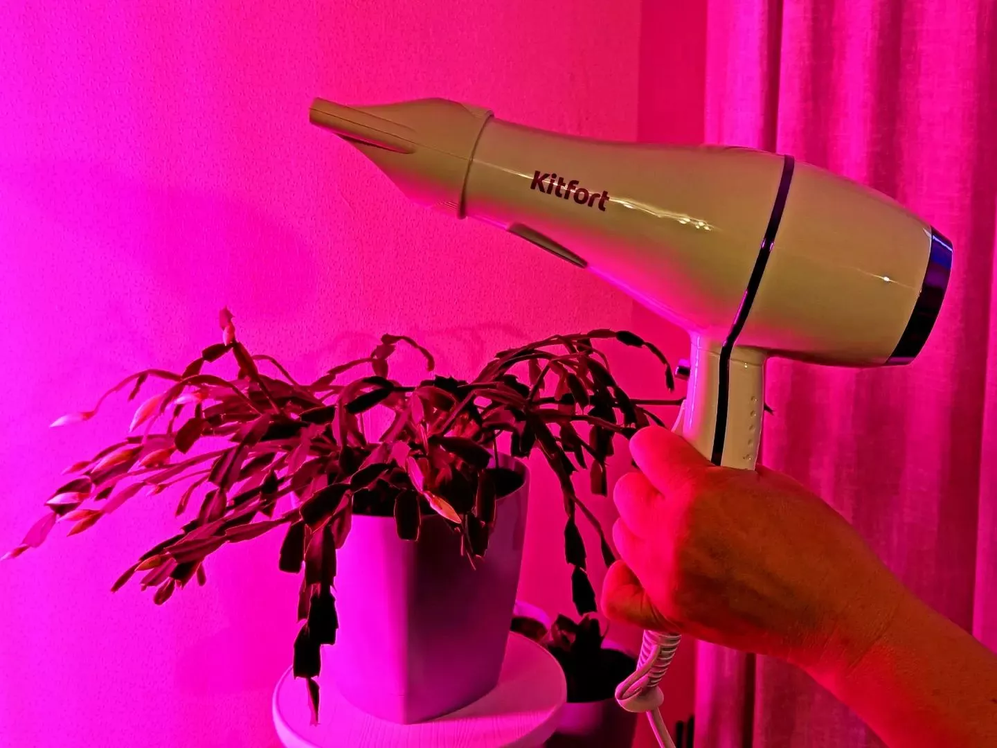 Фен Kitfort КТ-3215 купить по цене 990 ₽: отзывы, фото, характеристики