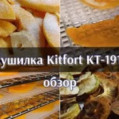 kt 1911 